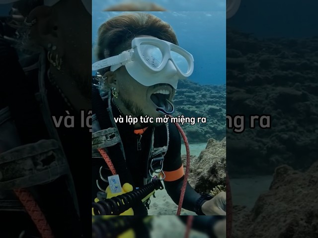 Hãy há miệng ra khi gặp loài cá đặc biệt này 😳