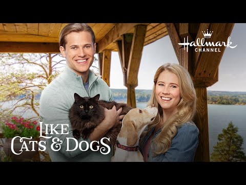 Like Cats and Dogs'
