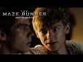 Button to run trailer #12 of 'The Maze Runner'