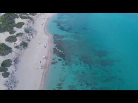 Video realizado por la propiedad