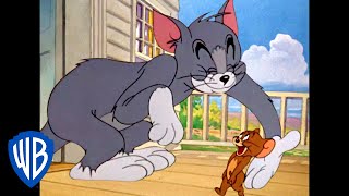 Tom a Jerry - Oh můj kámoš