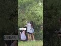 Disturbing video shows people pulling bear cubs from a tree to take photos with them  - 00:49 min - News - Video