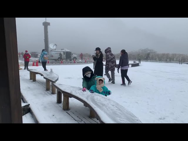 影音∕超級强烈寒流來襲 太平山降瑞雪 入園車潮湧現 遊客樂翻天