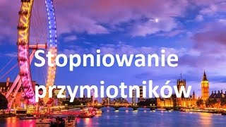 Miniatura video