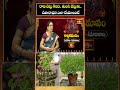 రావి చెట్టు కింద.. తులసి చెట్టుకు.. దీపారాధన ఎలా చేయాలంటే | Karthika Masam | Bhakthi TV