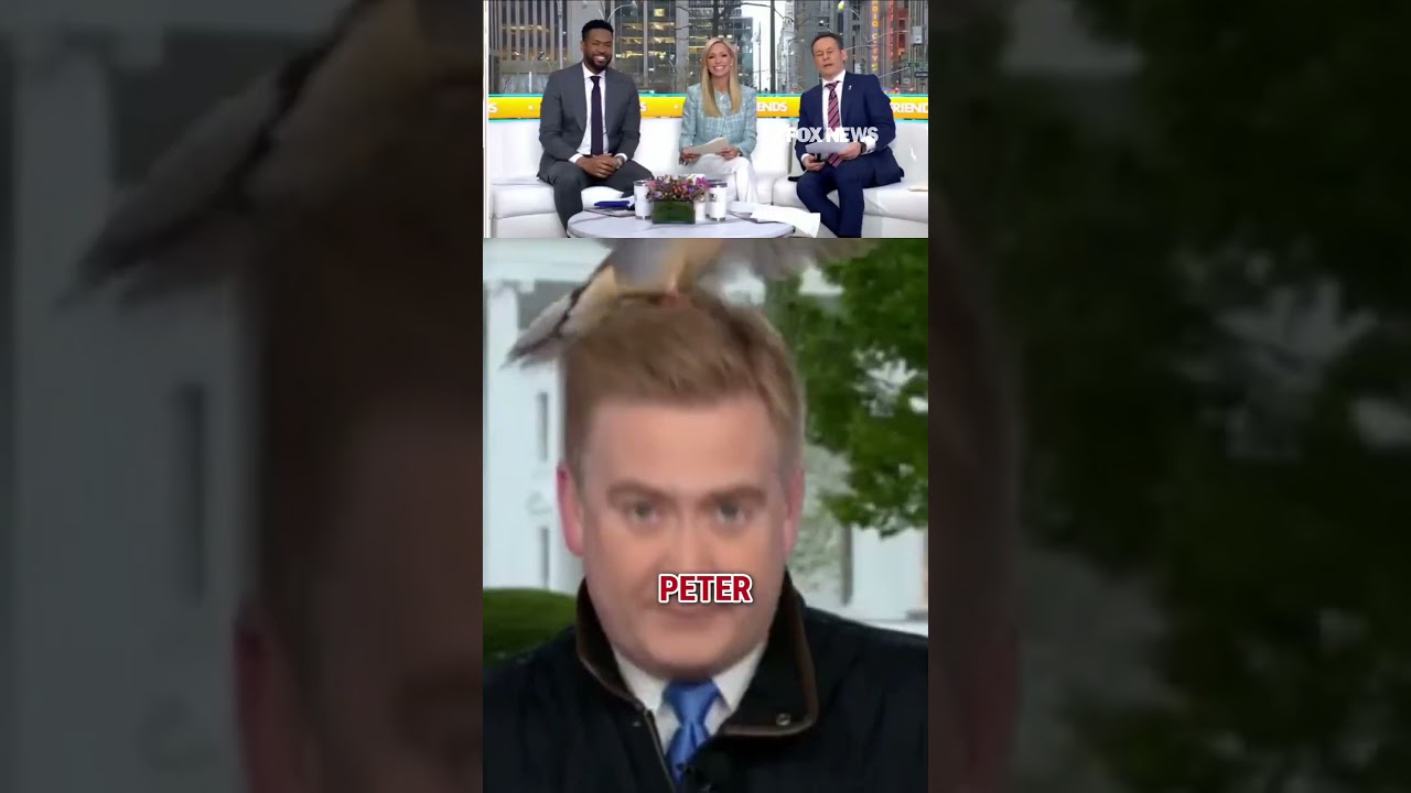 Peter Doocy’s daughter re-creates his VIRAL bird moment for Halloween! #shorts #halloween #usnews