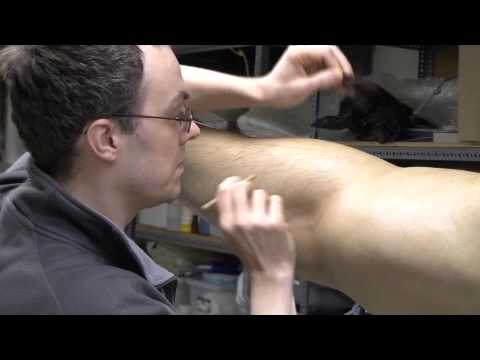 The Making of