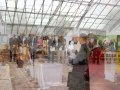 Miniatura video