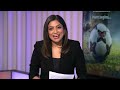 The Great Indian Football Dream: How can India Become a Footballing Nation? | Experts Talk | News9  - 30:31 min - News - Video