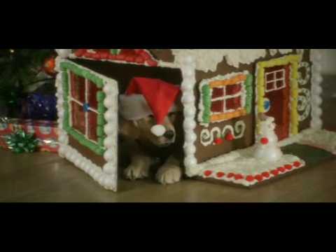 Santa Buddies'