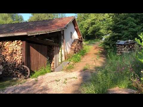 Video der Unterkunft