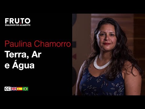 TERRA, AR E ÁGUA - Paulina Chamorro