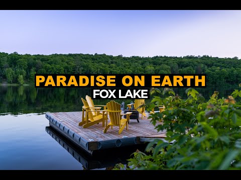 Property video