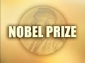 2 Scientists in US, 1 in UK Win Chemistry Nobel