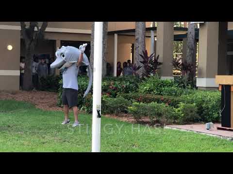 Race Video