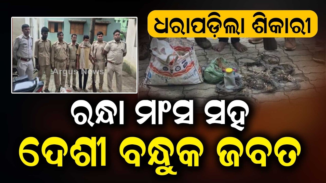 Satkosia Wildlife Sanctuary: Poacher Arrested with Country-made Gun and Meat in Angul | Argus News