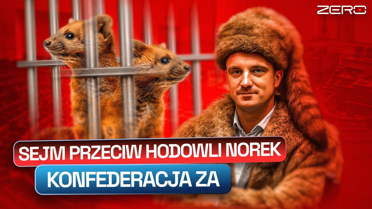 ZAKAZ HODOWLI ZWIERZĄT NA FUTRA. CO ZROBI NAWROCKI?