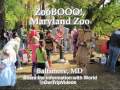 Halloween ZooBOOO - Maryland Zoo, Baltimore, MD, US - Pictures