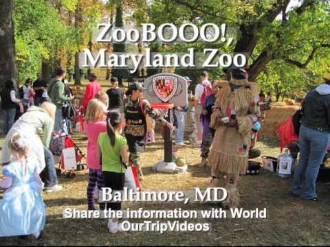 Pictures of Halloween ZooBOOO - Maryland Zoo, Baltimore, MD, US