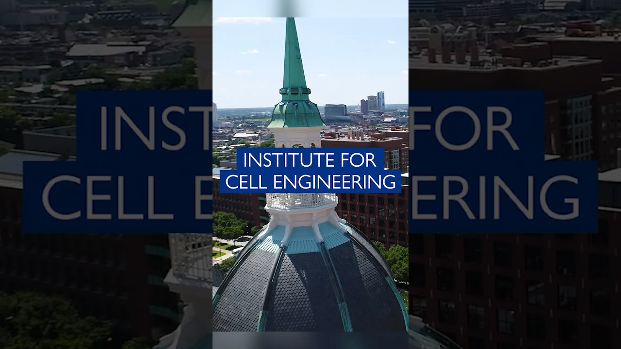 What is cell engineering? Scientists at the Institute for Cell Engineering Answer #cellengineering