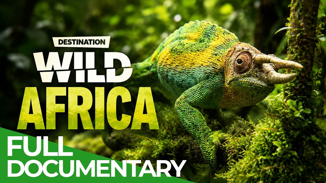 Destination Wild: Rwanda - Heart of Africa | Free Documentary Nature