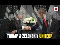 Russia Ukraine War LIVE: Zelenskyy Calls Trump a “Game-Changer” in War With Russia | Newsx