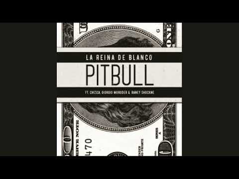 Pitbull Ft. Chesca, Giorgio Moroner, Raney Shockne - La Reina de Blanco  (Audio)