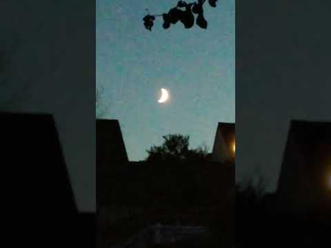🎶 "DER MOND IST AUFGEGANGEN" 🎵 2.08.2022, Punkt 22. 00 Uhr! 🌜✨