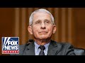Lawmakers expected to grill Fauci over bombshell COVID allegations