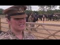 Kings Troop prepare for London Horse Show  - 02:09 min - News - Video
