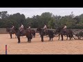 Kings Troop prepare for London Horse Show