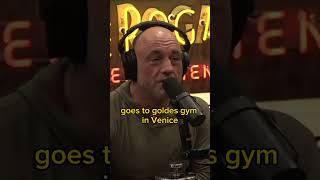 Robert F. Kennedy Jr.s Incredible Fitness at 69 | Joe Rogan #jre #fitness #reaction #shorts