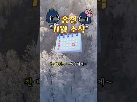 [홍짤 11월] 홍천 11월 소식은!! 여기서 보세요~ㅎ 추울 땐 홍짤