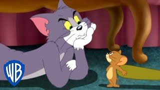 Tom a Jerry - Honička doma