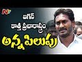 YS Jagan to launch a new Programme Anna Pilupu