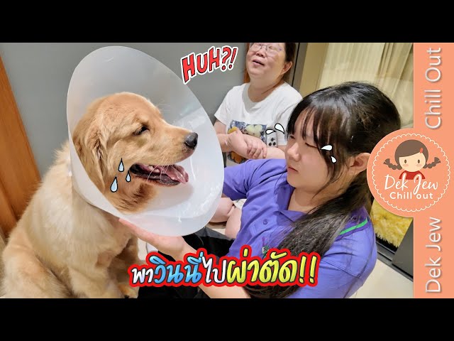 พาวินนี่ไปผ่าตัด