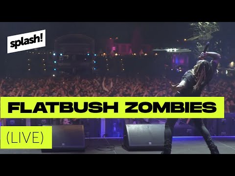 Flatbush Zombies live @ splash! 19