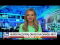 Kayleigh McEnany: Id be STUNNED if Hunter Biden doesnt take plea deal ahead of tax charges  - 02:58 min - News - Video