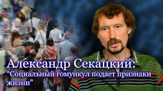 Александр Секацкий - "Офисный планктон"