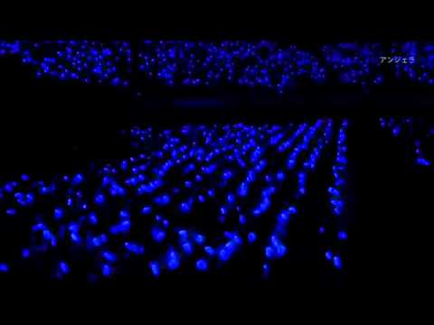 D&E DVD - SUPER JUNIOR EUNHYUK - DANCE PERFORMANCE.mp4