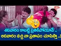 శనివారం కాబట్టి బ్రతికిపోయావ్, ఆదివారం వచ్చి నా ప్రతాపం చూపిస్తా | Telugu Comedy Scenes | NavvulaTV