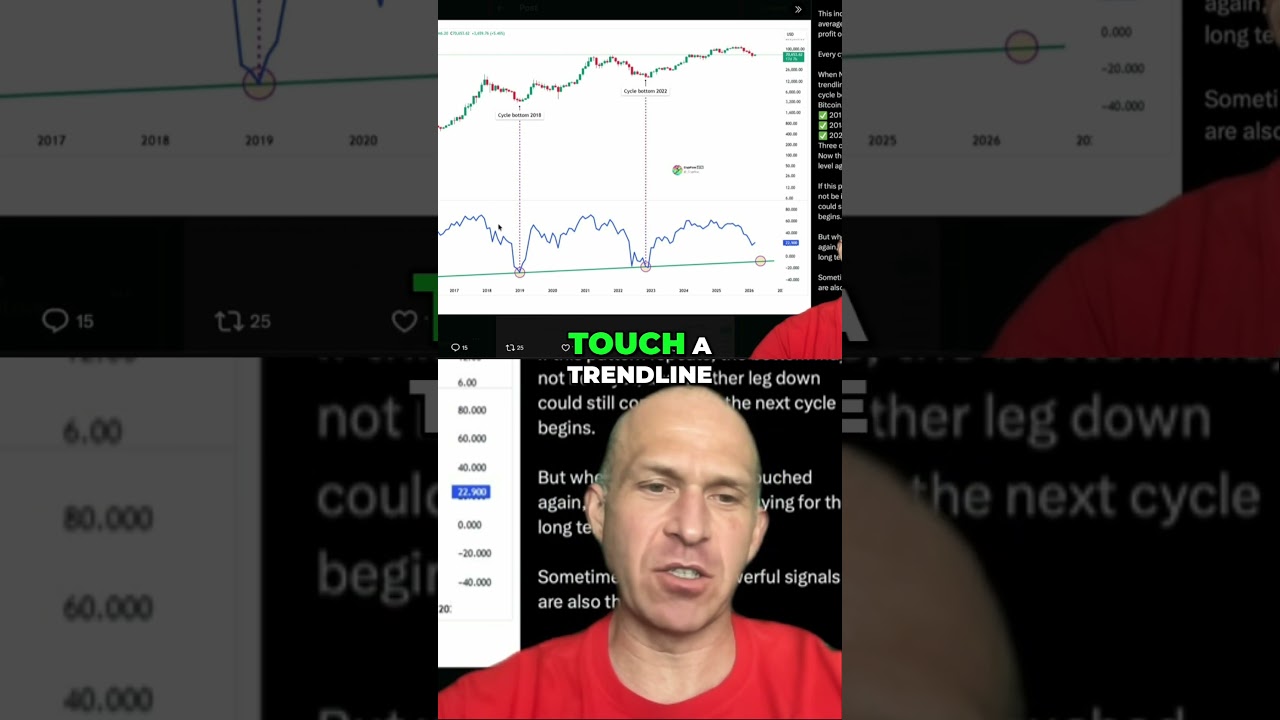 Bitcoin's NUPL Cycle: Buy Signal Repeat?