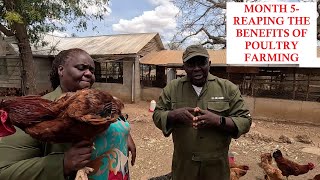 5 MONTHS ON-REAPING THE BENEFITS IN POULTRY KEEPING