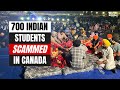 Why 700 Indian Students Could Be Deported From Canada | NDTV Beeps