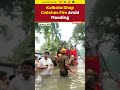 Kolkata Floods: Shop Catches Fire in Mandeville Gardens, Mayor Firhad Hakim Visits Site  - 01:17 min - News - Video