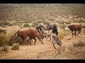 Absa Cape Epic 2014 -- Stage 1 -- Highlights Clip