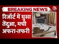 Viral Video: Jaipur के एक रिजॉर्ट में अचानक घुस गया तेंदुआ, मची अफरा-तफरी, वन विभाग ने पकड़ा