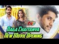 Naga Chaitanya's New Movie shooting launched in Hyderabad, Anu Emmanuel