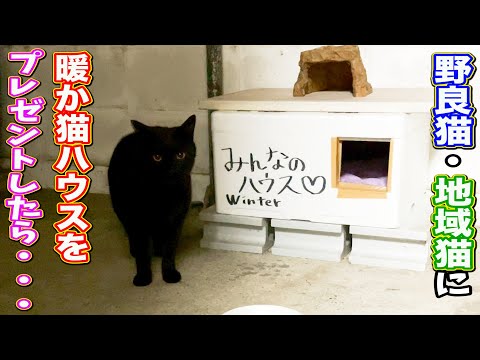 野良猫 地域猫に冬用の暖か猫ハウスを作ってプレゼントしたら まとめちゅーぶ