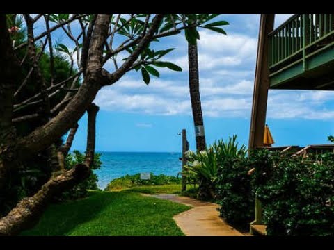 Property video